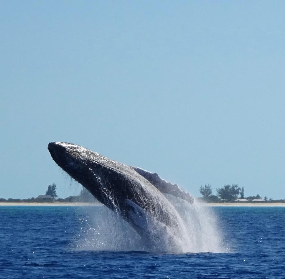 The Meridian Club, Turks And Caicos Pine Cay ภายนอก รูปภาพ
